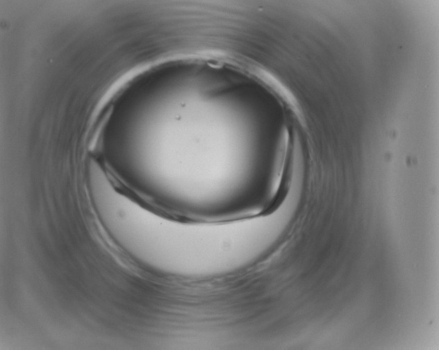 X0000083051332200702231945