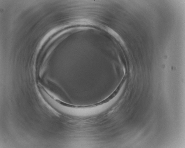 X0000083051334200702231945