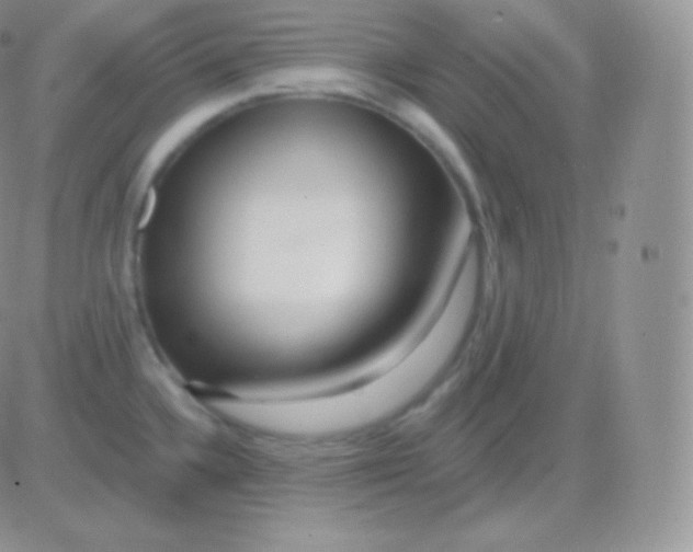 X0000083051336200702231945