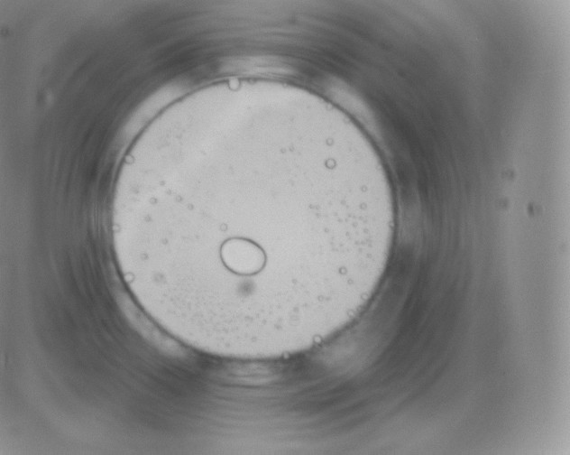 X0000083051338200702231945