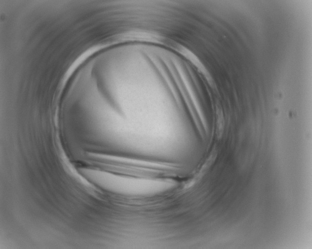 X0000083051339200702231945