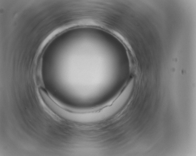 X0000083051342200702231945