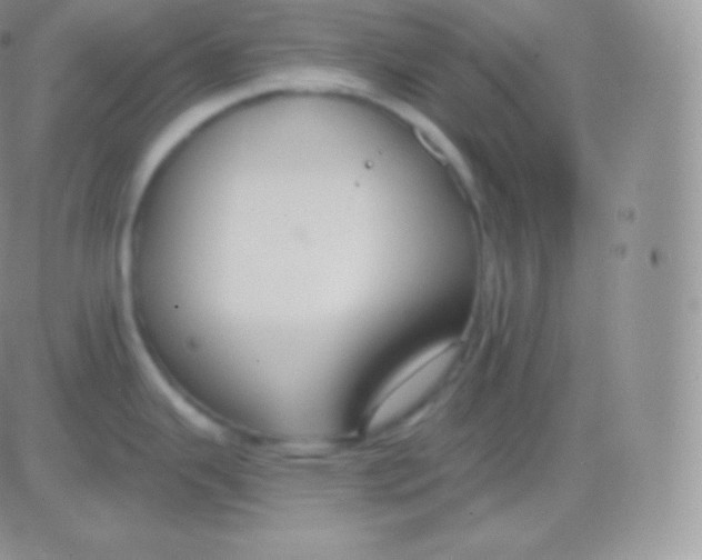 X0000083051343200702231945