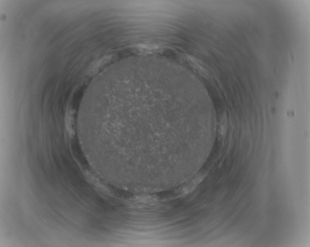 X0000083051346200702231945