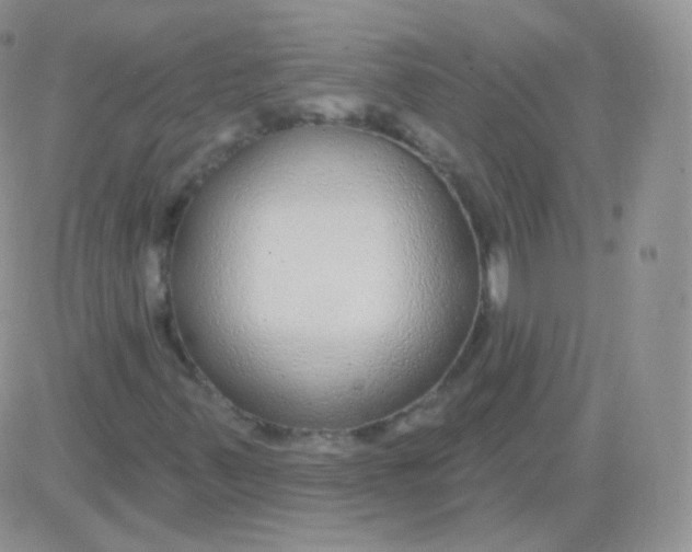 X0000083051347200702231945