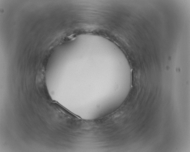 X0000083051349200702231945