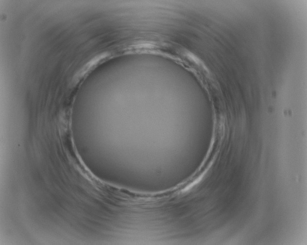 X0000083051353200702231945