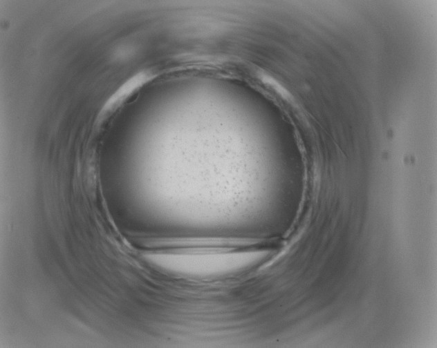 X0000083051354200702231945