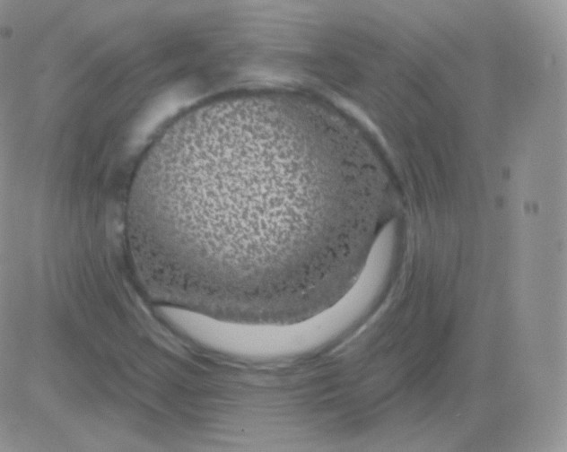 X0000083051355200702231944