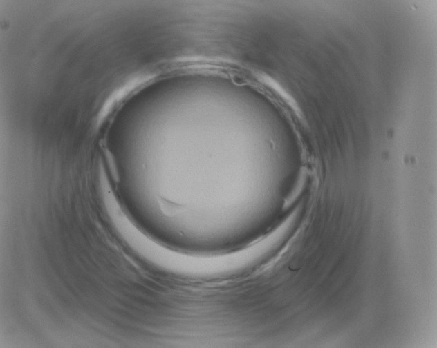 X0000083051357200702231944