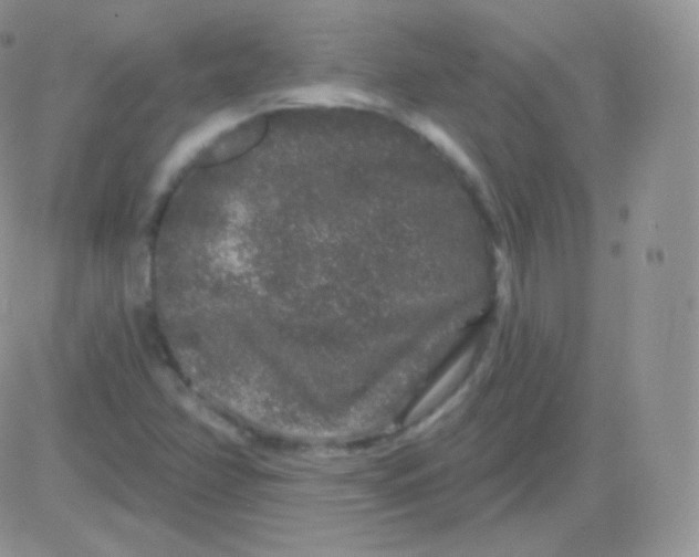 X0000083051358200702231944