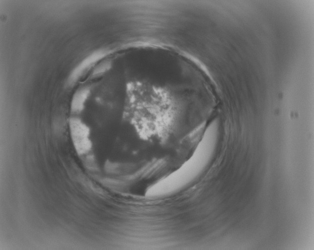 X0000083051359200702231944