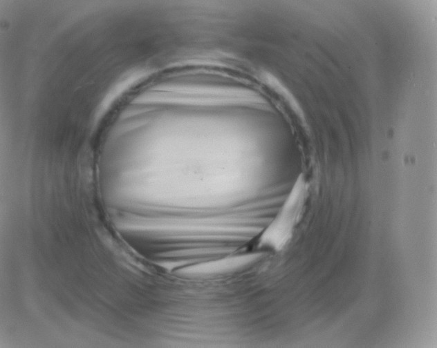 X0000083051360200702231944