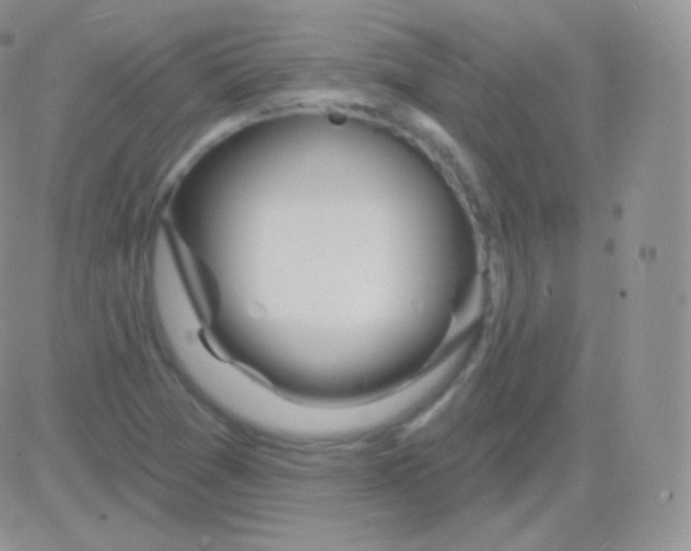 X0000083051361200702231944