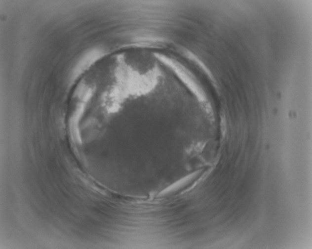 X0000083051362200702231944