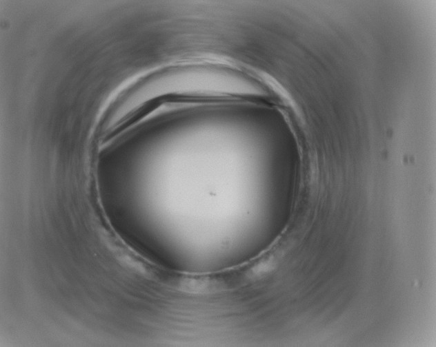 X0000083051364200702231944