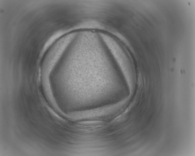 X0000083051366200702231944