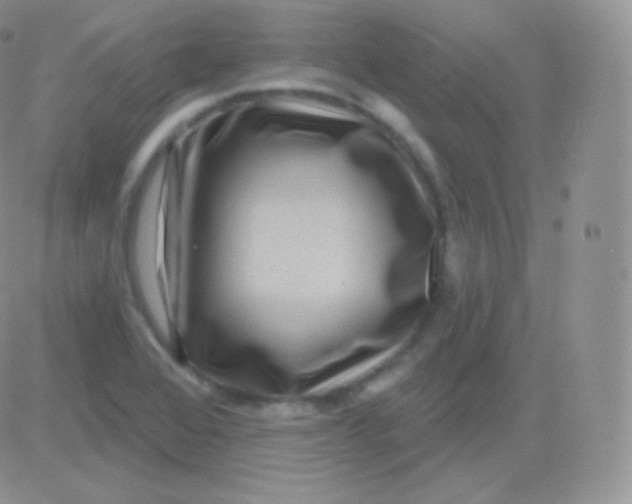 X0000083051368200702231944