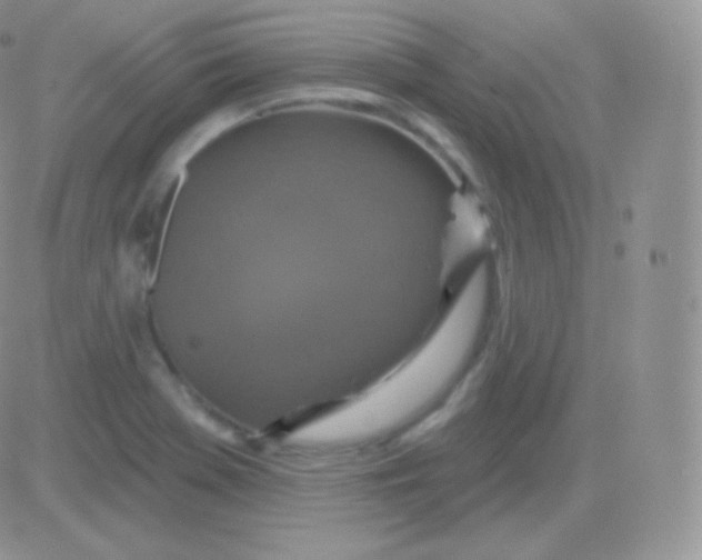 X0000083051369200702231944