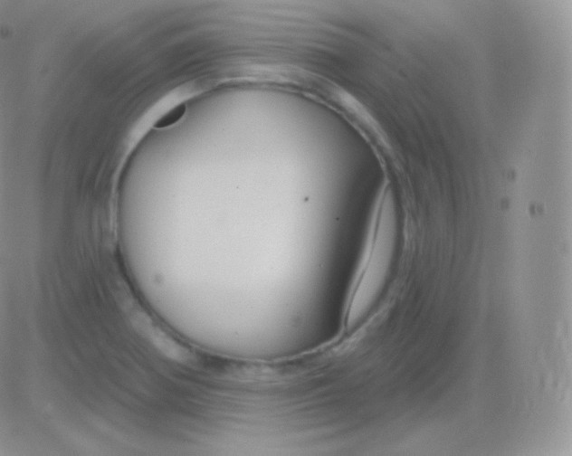 X0000083051370200702231944