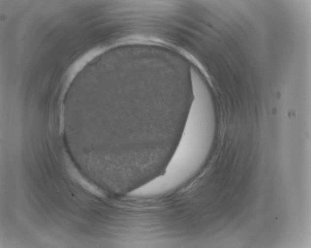 X0000083051371200702231944