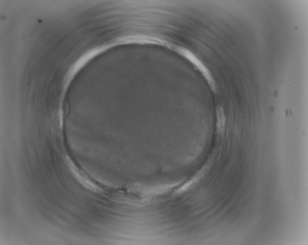 X0000083051372200702231944