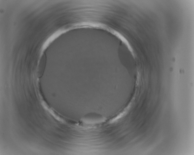 X0000083051373200702231944