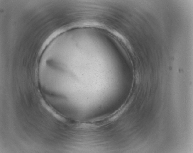 X0000083051374200702231944