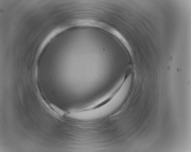 X0000083051376200702231944