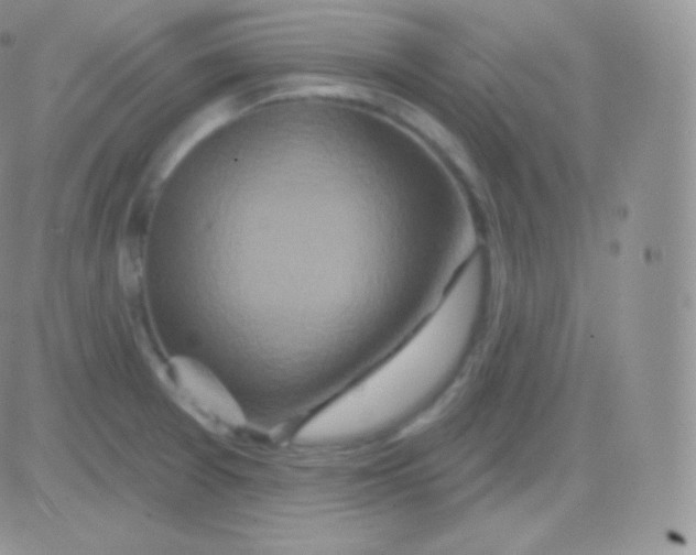 X0000083051377200702231944