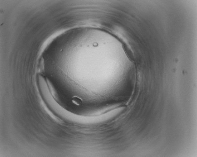 X0000083051379200702231944