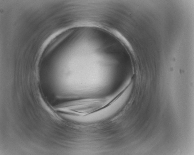 X0000083051380200702231944