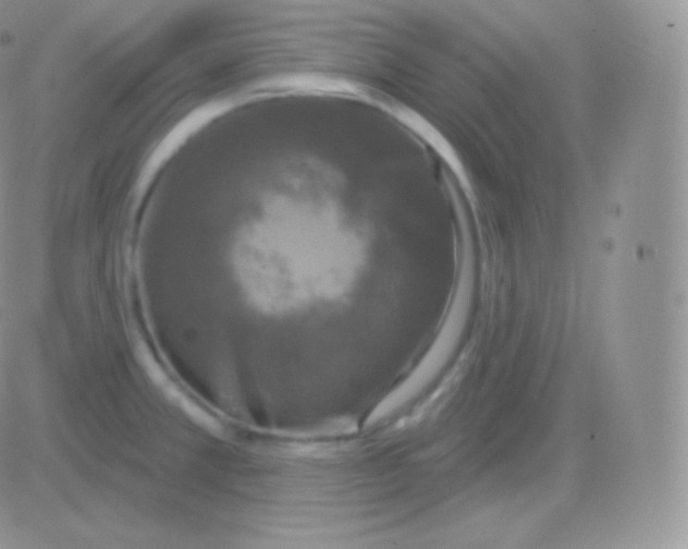 X0000083051381200702231944