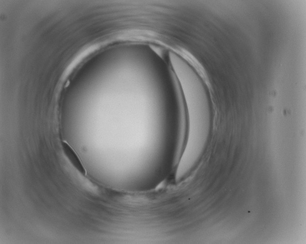 X0000083051384200702231944