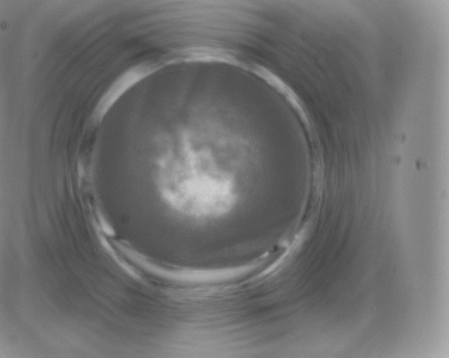 X0000083051385200702231944