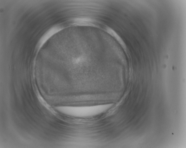 X0000083051386200702231944