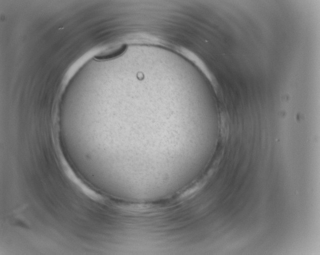 X0000083051387200702231944