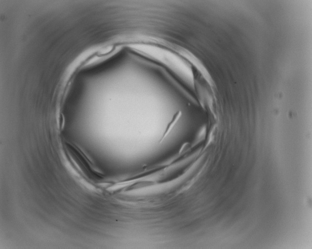 X0000083051388200702231944