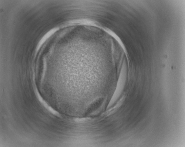 X0000083051389200702231944