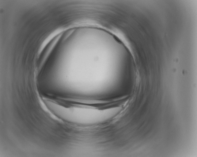 X0000083051390200702231944