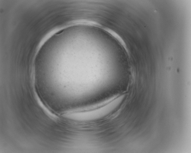 X0000083051391200702231944