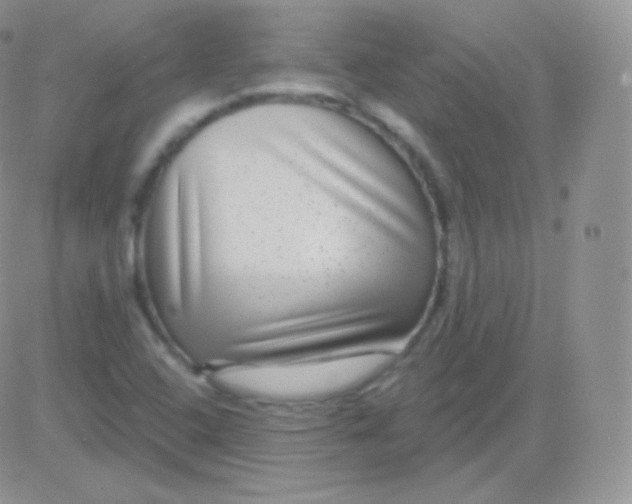 X0000083051408200702231943