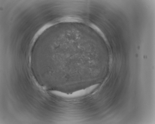 X0000083051419200702231944