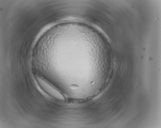 X0000083051421200702231944