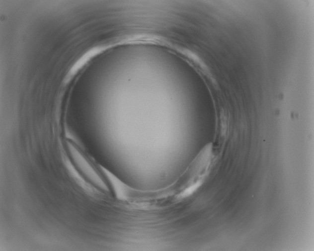 X0000083051422200702231944