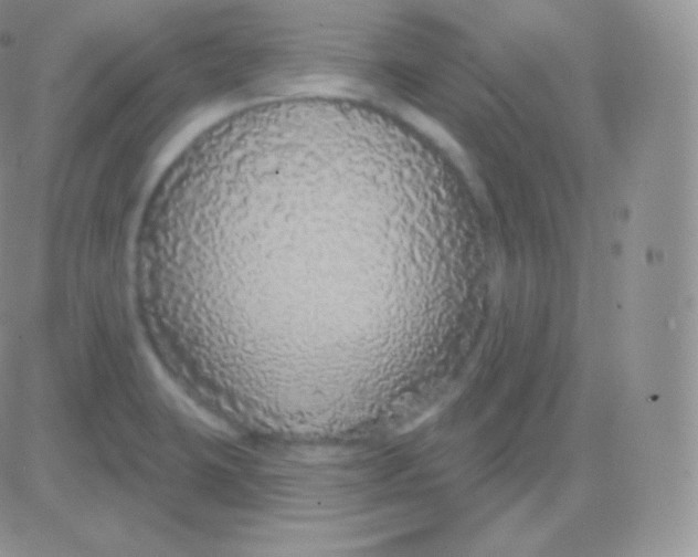 X0000083051423200702231944