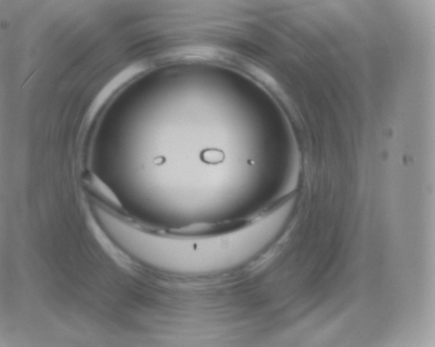 X0000083051426200702231944