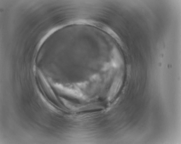 X0000083051428200702231944