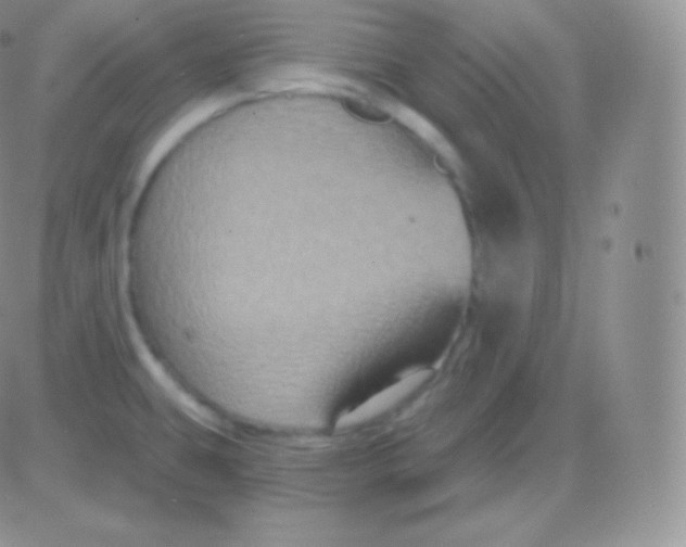 X0000083051431200702231944