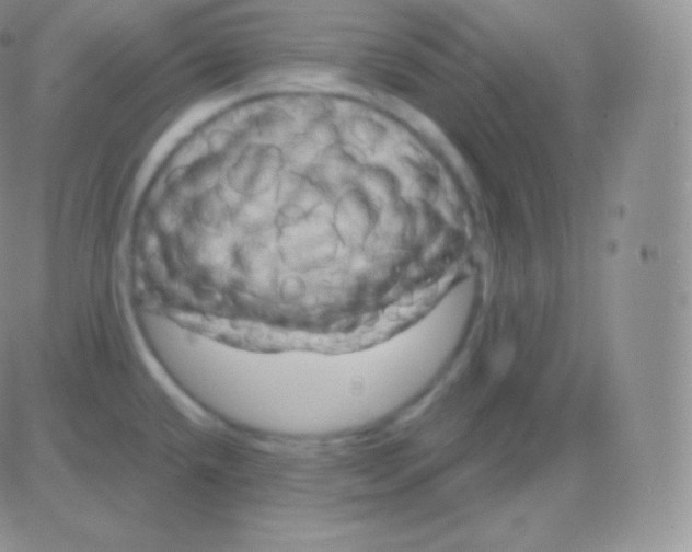 X0000083051432200702231944